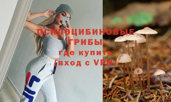 ECSTASY Бугульма